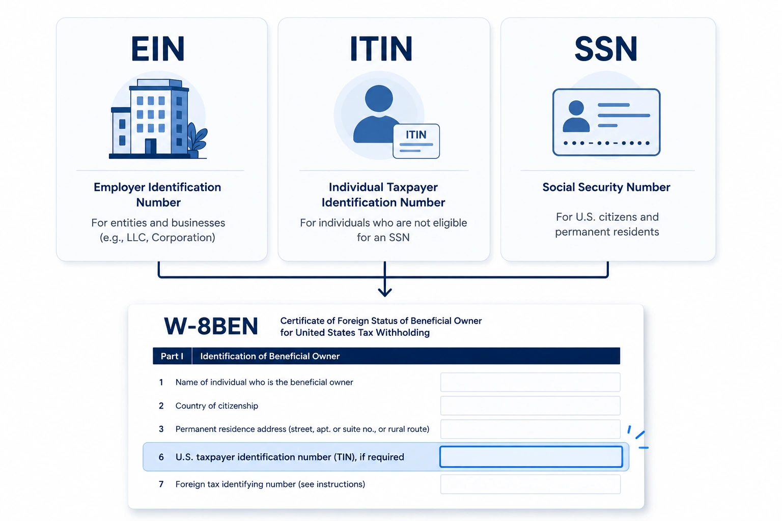 Infografica che confronta EIN, ITIN, SSN e TIN estero con il campo di identificazione del contribuente alla riga 6 del W-8BEN evidenziato